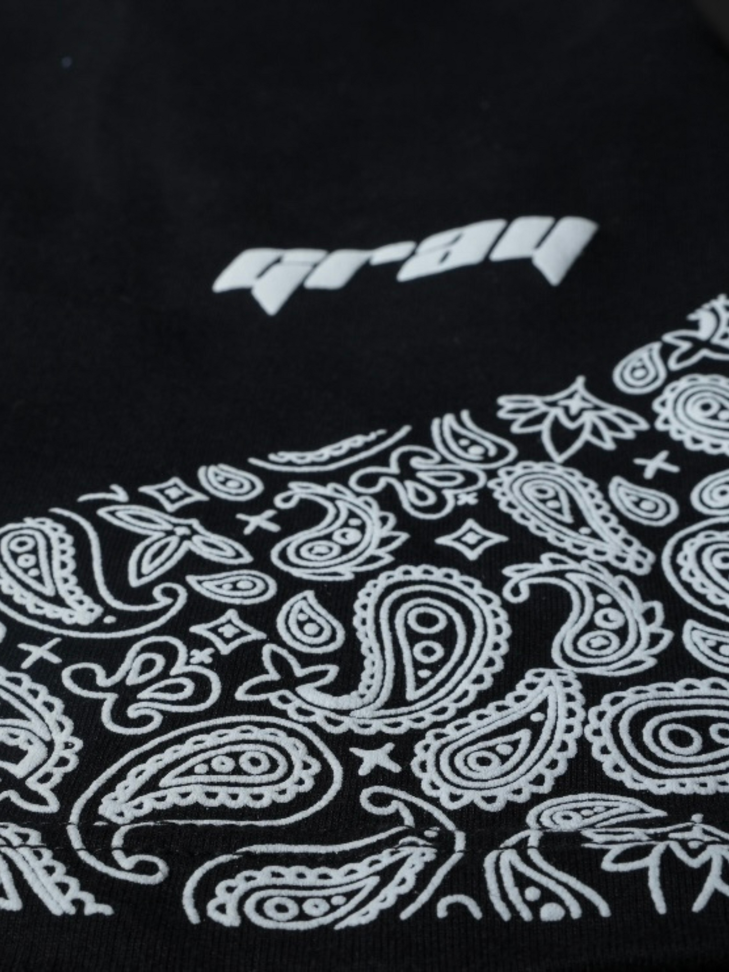 Paisley Shorts in Black
