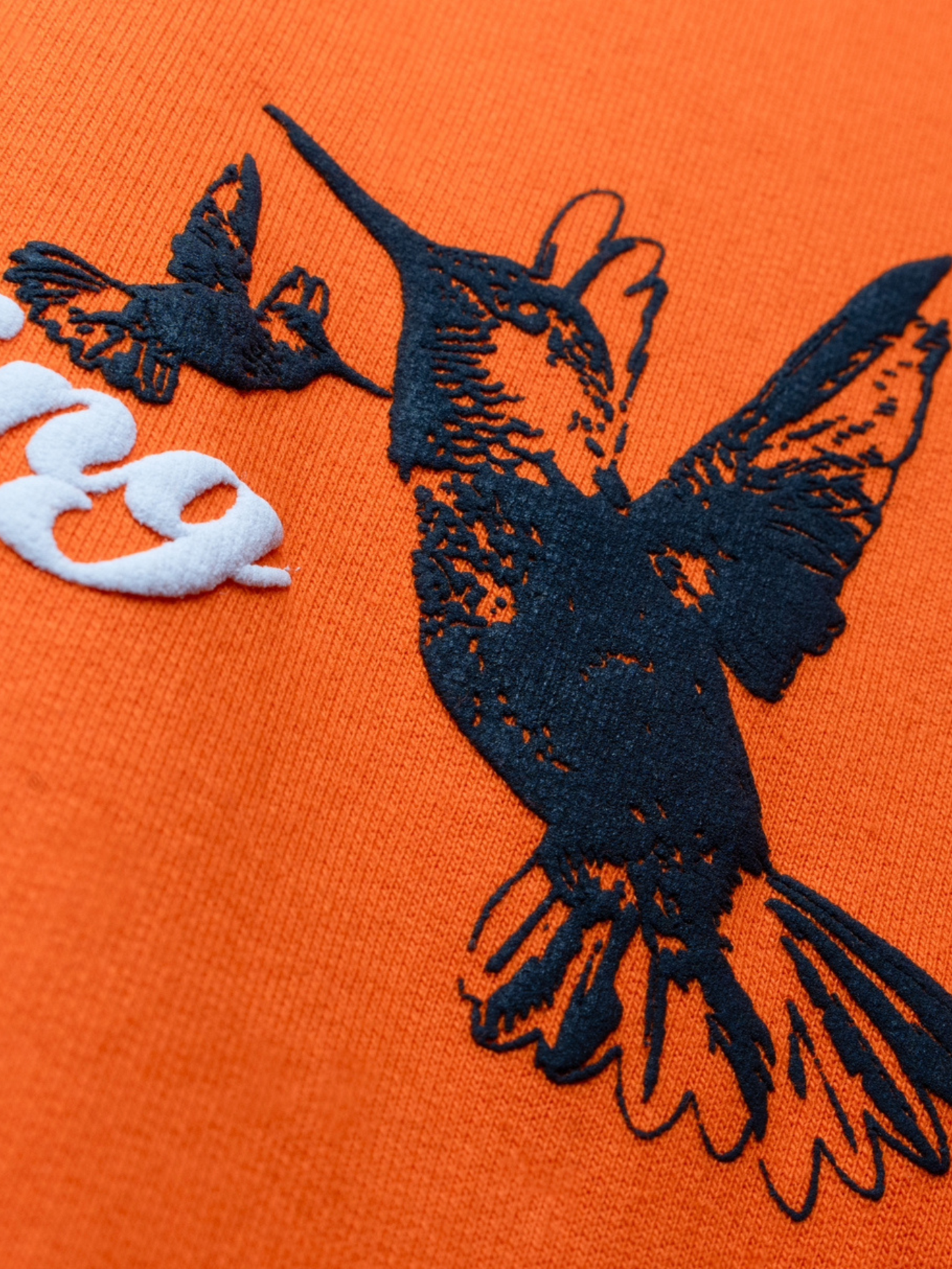 Victory in Orange