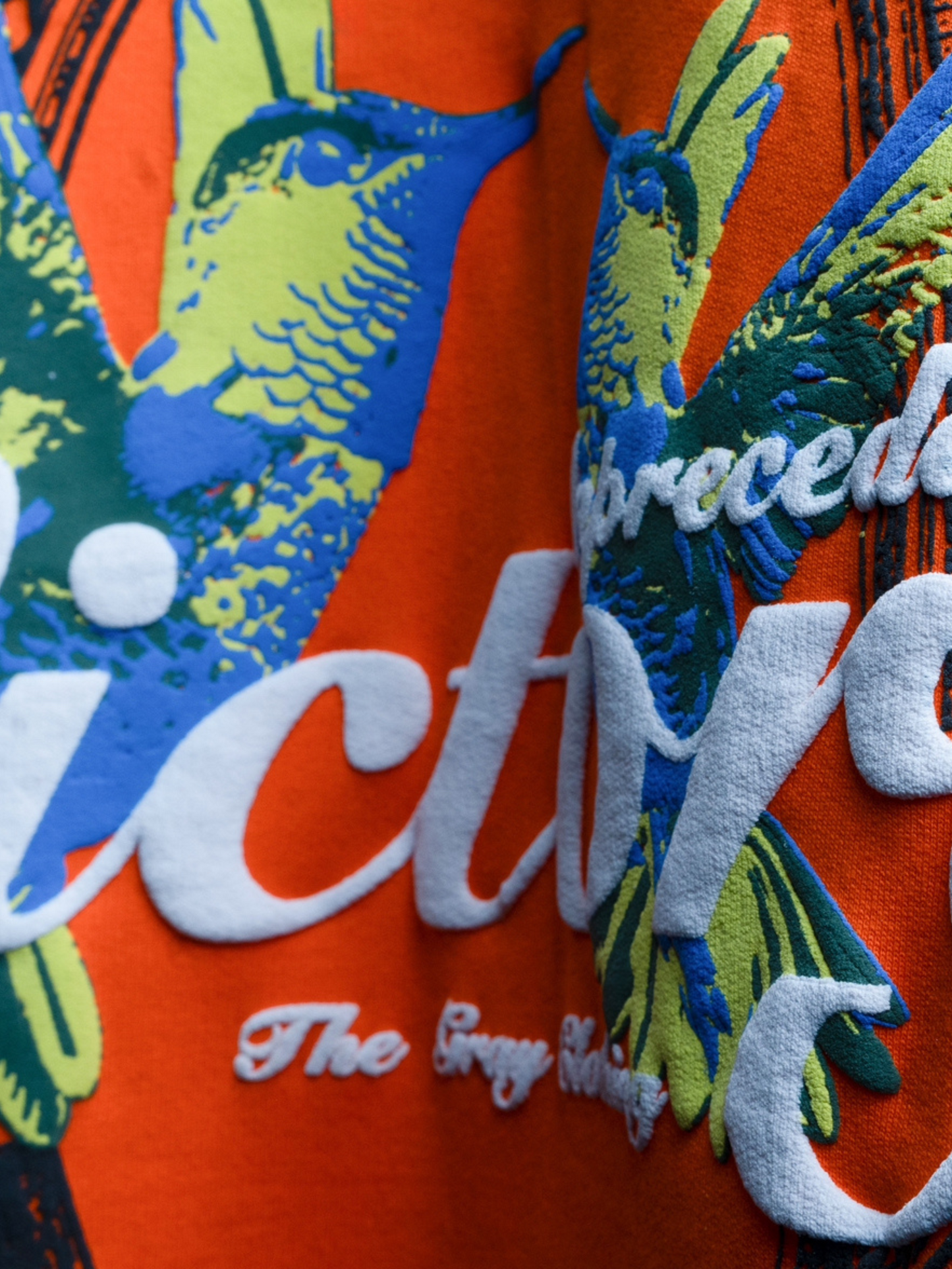 Victory in Orange