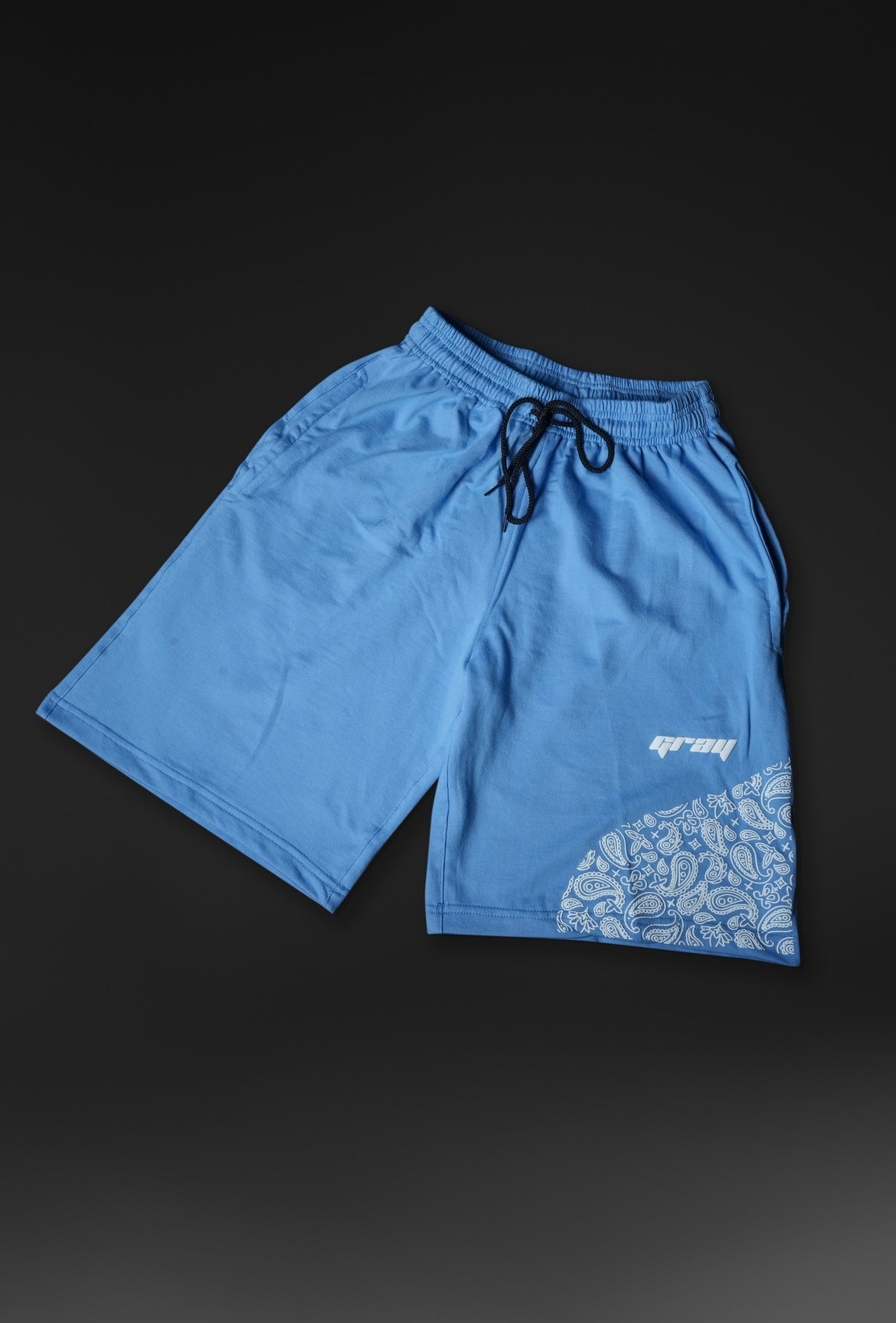 Paisley Shorts in Blue