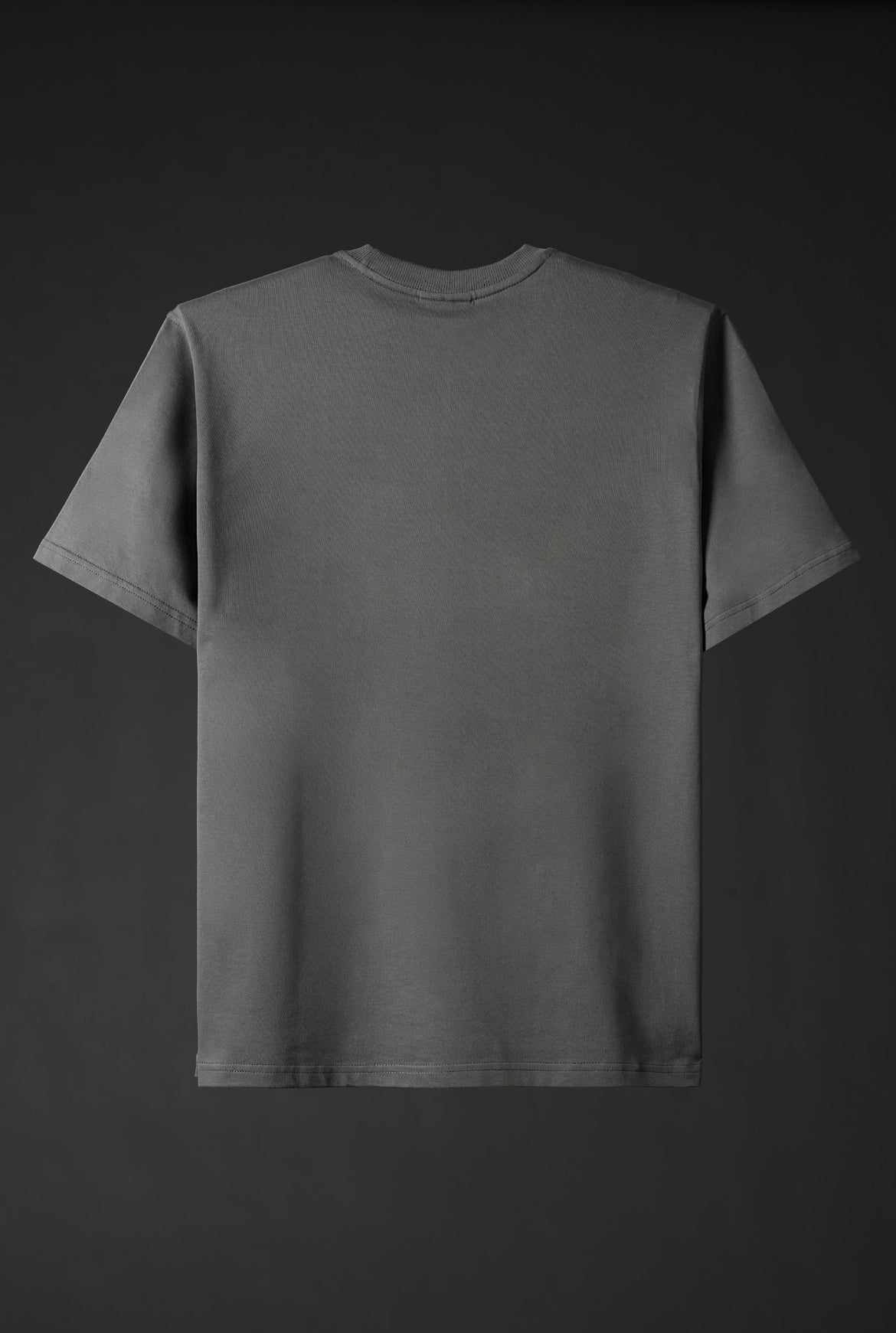 Pursuit in Gray
