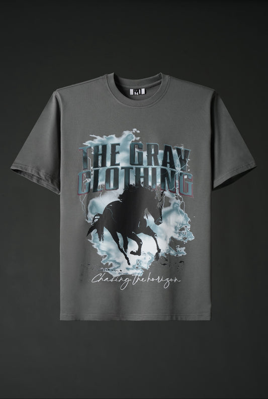 Pursuit in Gray